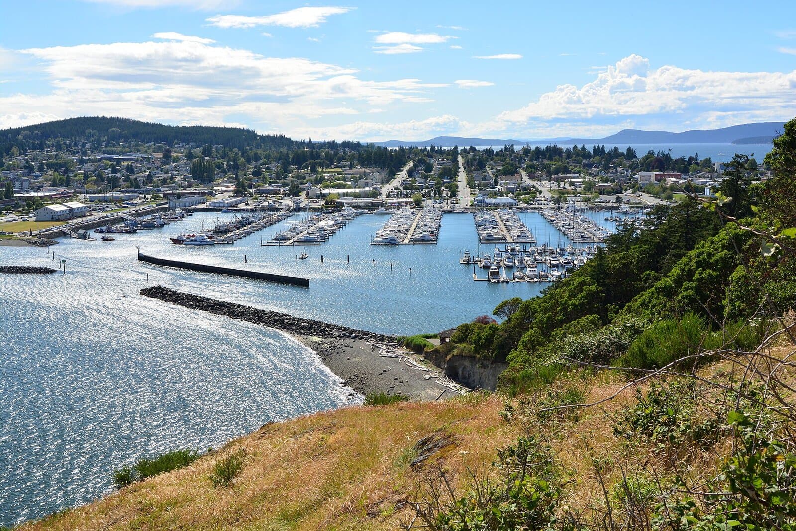 Cap Sante Marina (Anacortes) — aerial