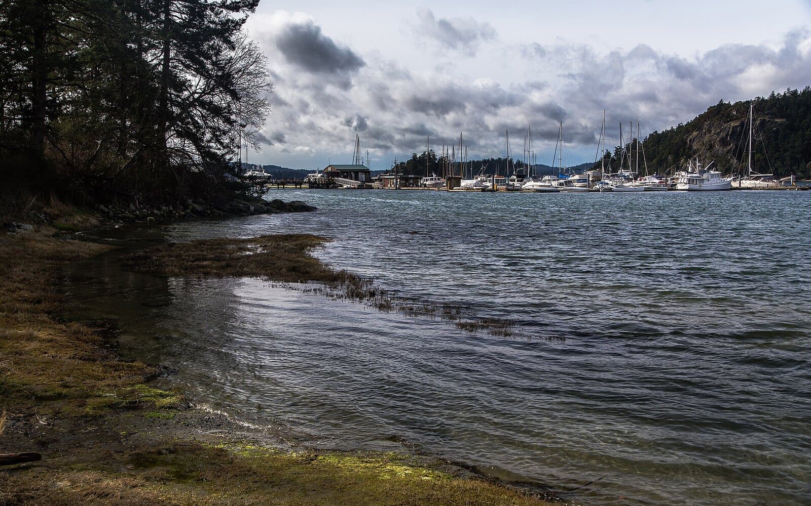 Deer Harbor Marina (Orcas Island) — hero