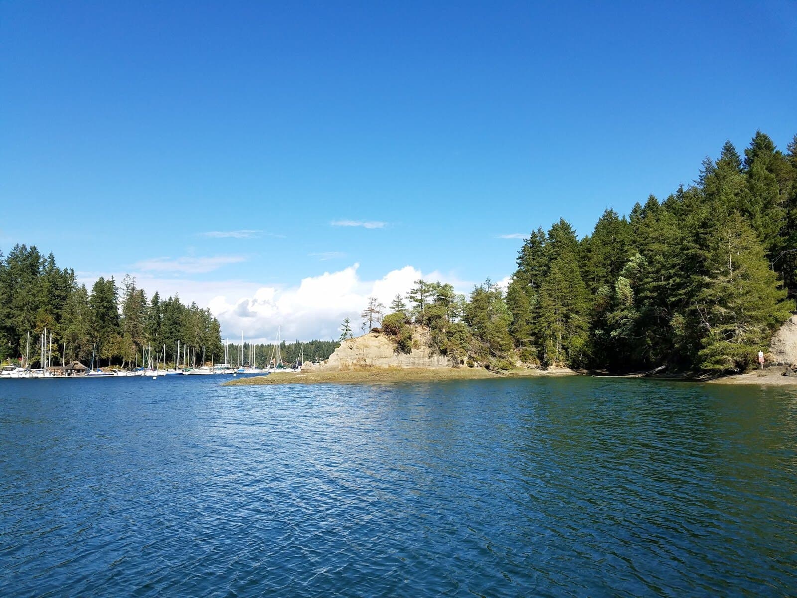 Jarrell Cove State Park — hero