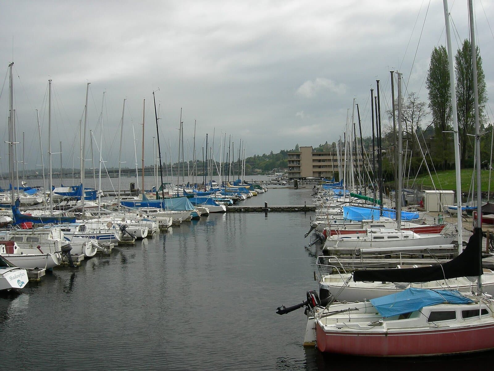 Leschi Marina — aerial