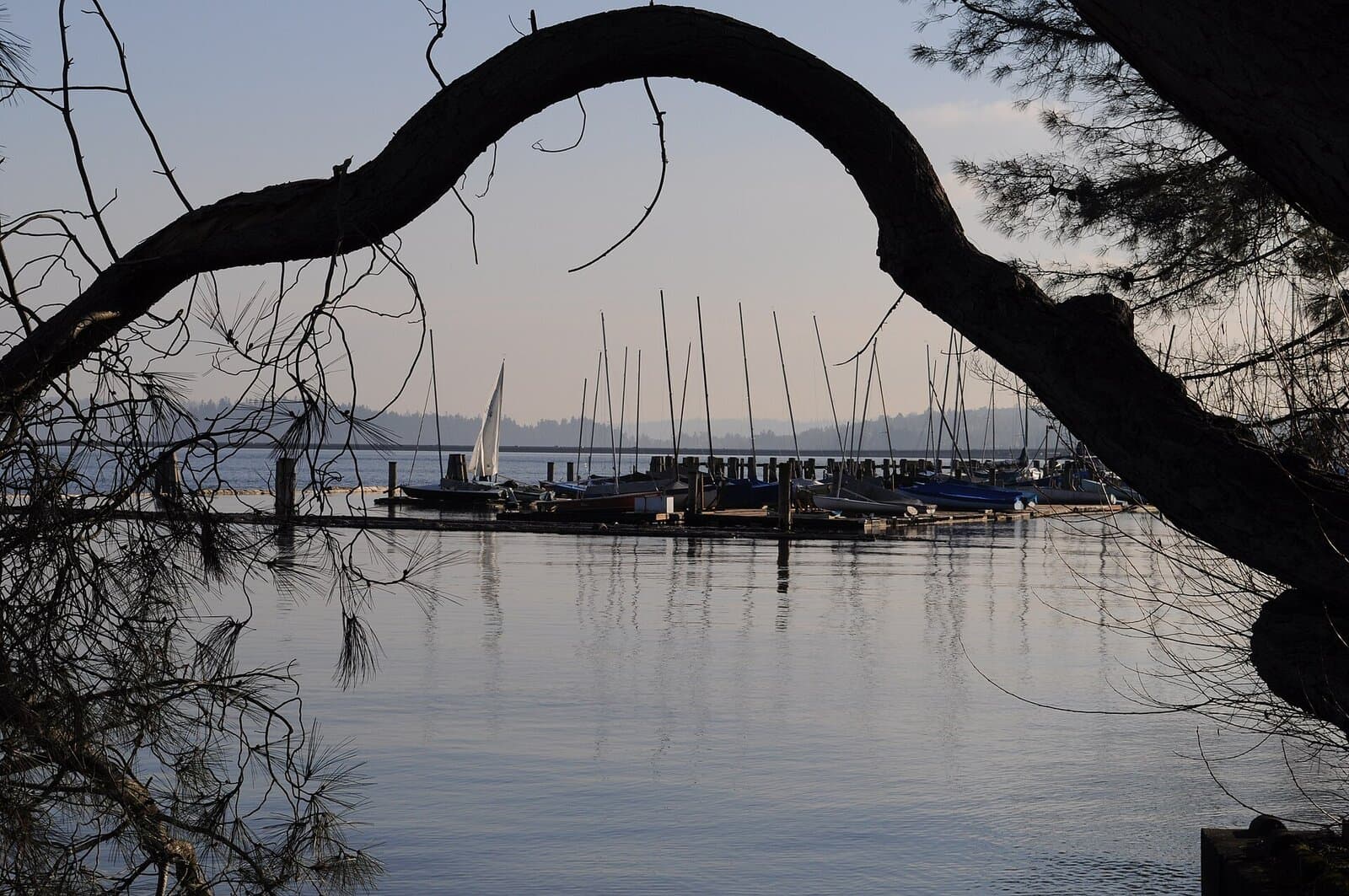 Leschi Marina — hero