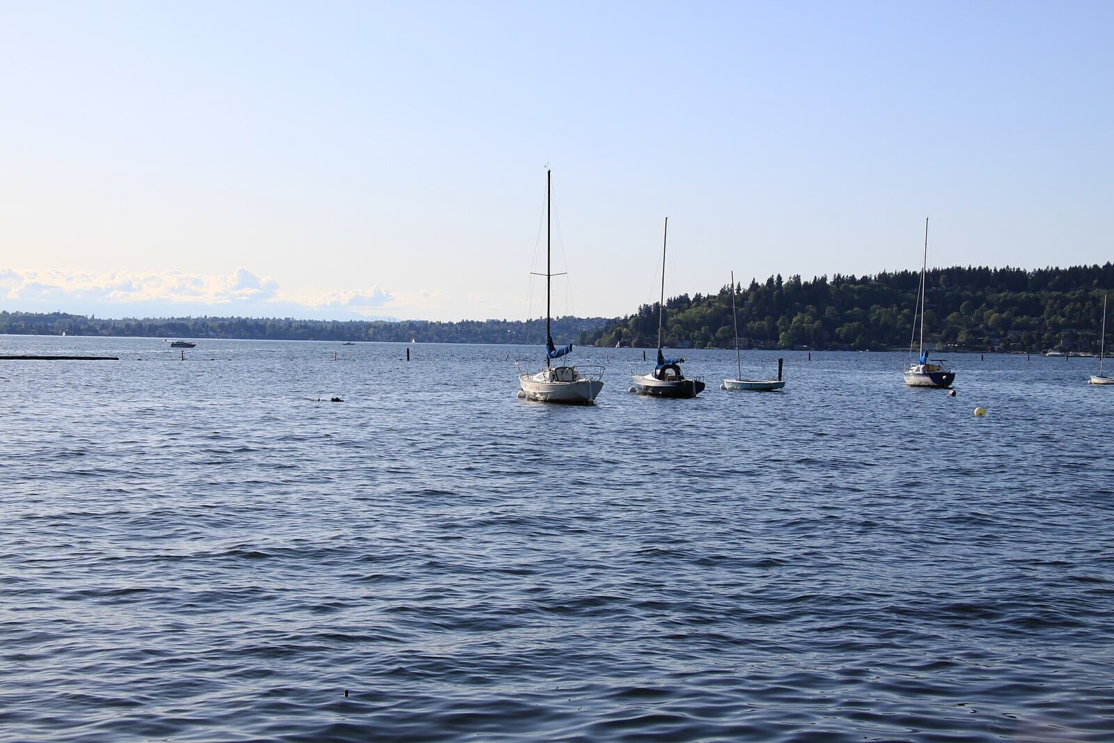 Gene Coulon Memorial Beach Park — hero
