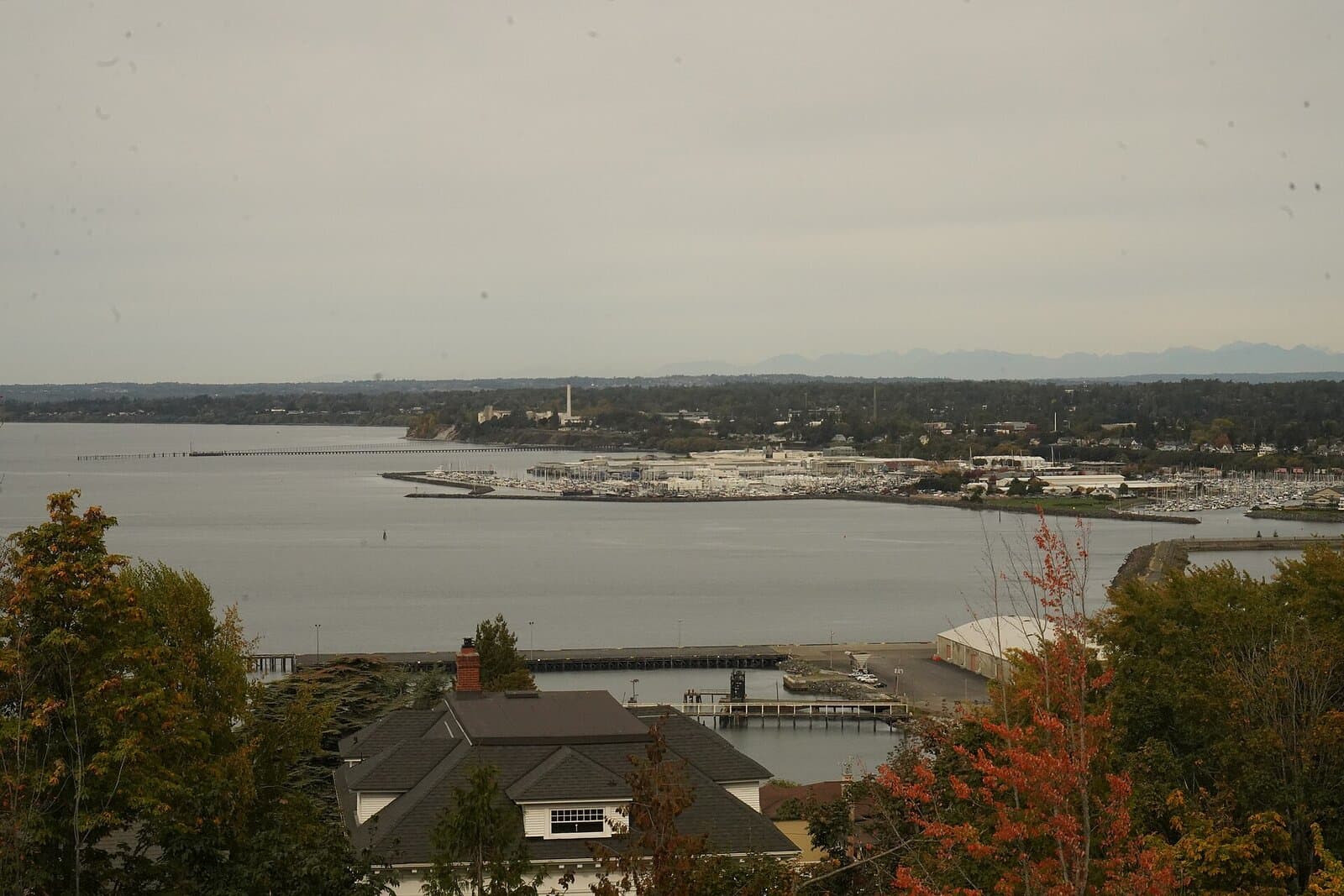 Squalicum Harbor (Bellingham)