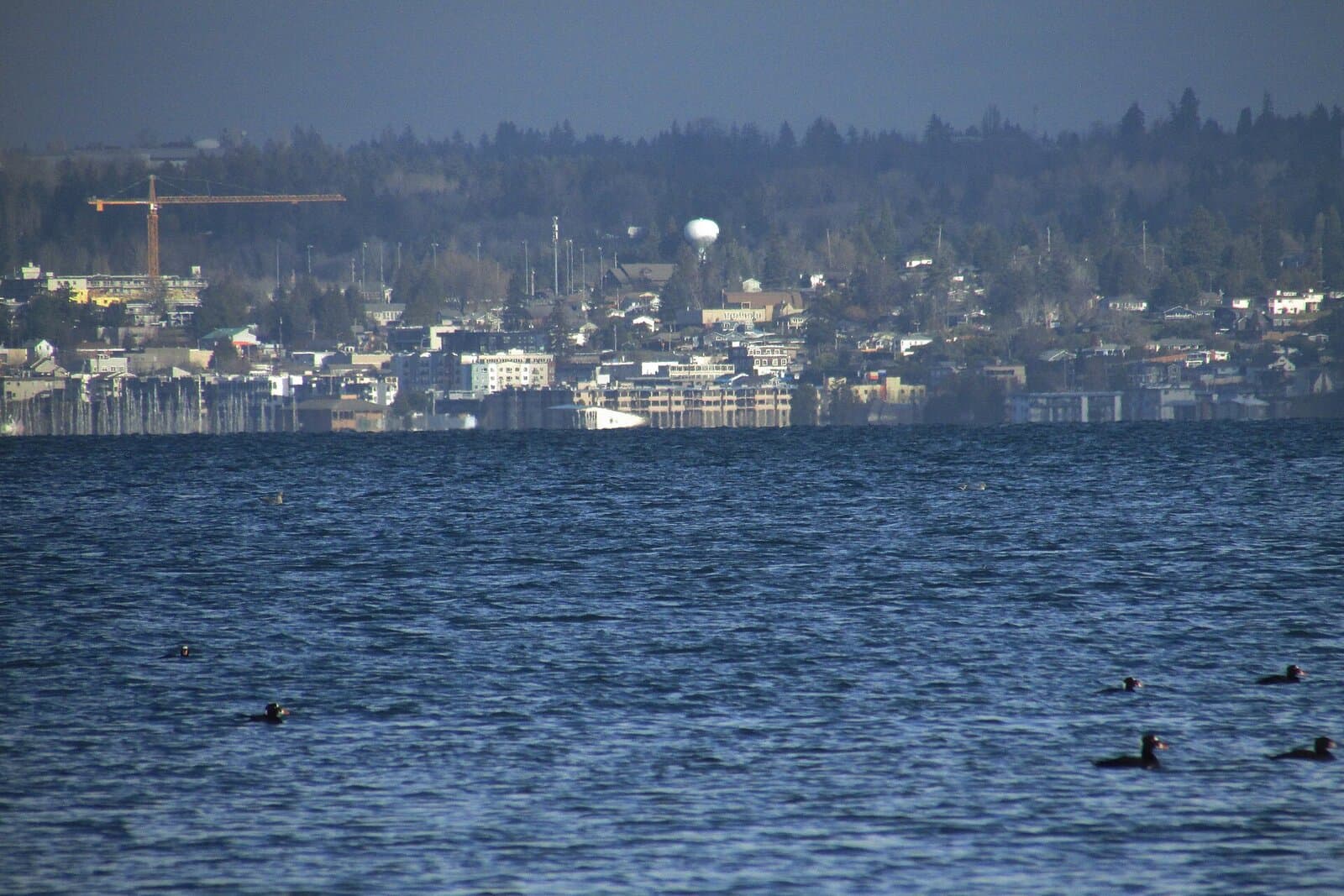 Des Moines Marina