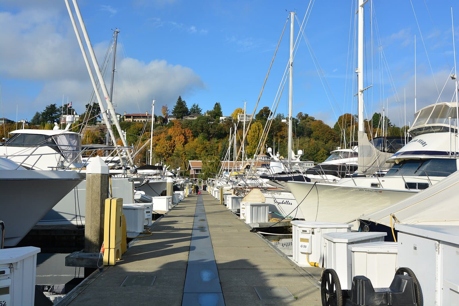 Elliott Bay Marina