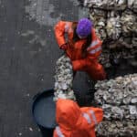 Learning by Doing: A Student’s Role in Oyster Restoration